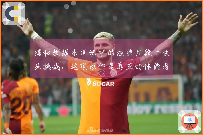 揭秘樊振东训练中的经典片段～快来挑战，这项动作是真正的体能考验！